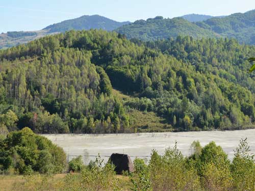 Foto Putin inaintea mistuirii (c) Petru Goja